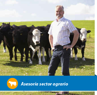 Servicios de asesoramiento y sustitución en las explotaciones agrarias
