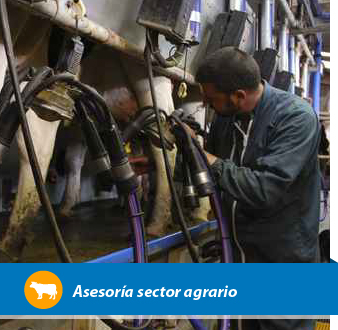 CONVOCADAS LAS AYUDAS PARA INCORPORACIÓN Y  PLANES DE MEJORA