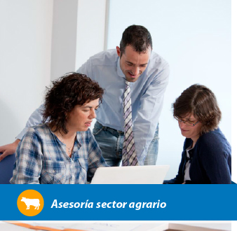 PUBLICADAS LAS AYUDAS CONCEDIDAS DE CONVOCATORIAS 2016  DESARROLLO RURAL