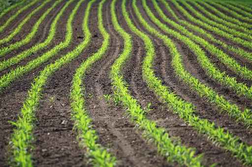 Subvenciones carencia amortización préstamos