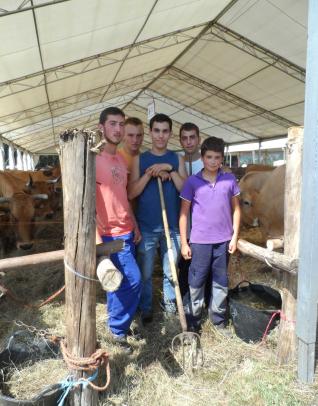 PUBLICADAS LAS BASES DE PLANES MEJORA  Y PRIMERA INSTALACIÓN EXPLOTACIONES