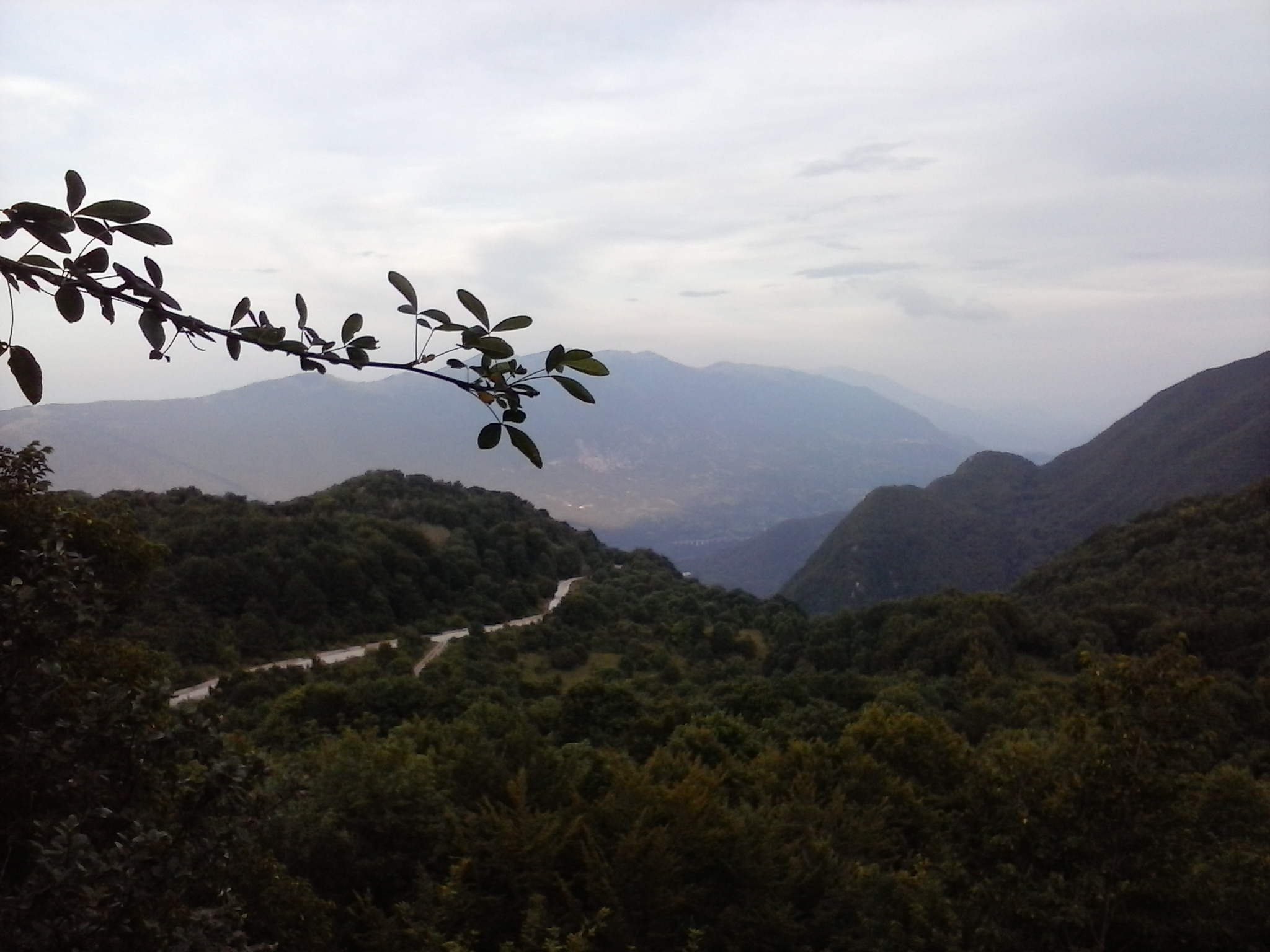 PUBLICADA LA CONVOCATORIA DE LAS AYUDAS LEADER 2016