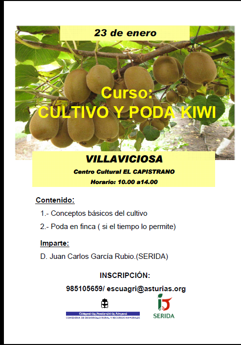 JORNADA CULTIVO Y PODA DEL KIWI