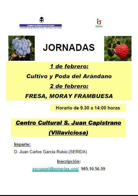 JORNADA DE PEQUEÑOS FRUTOS