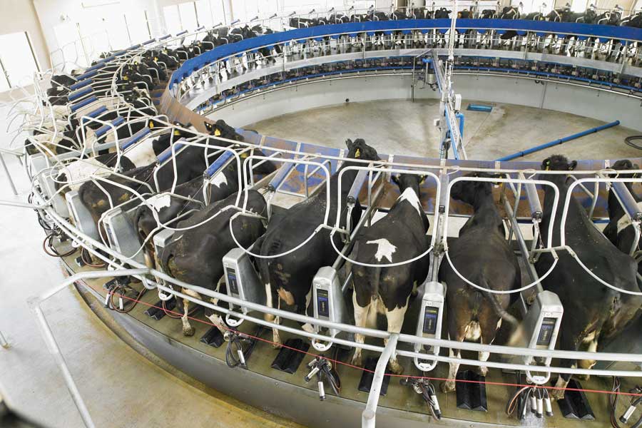 AYUDAS POR VACIO SANITARIO EXPLOTACIONES GANADERAS