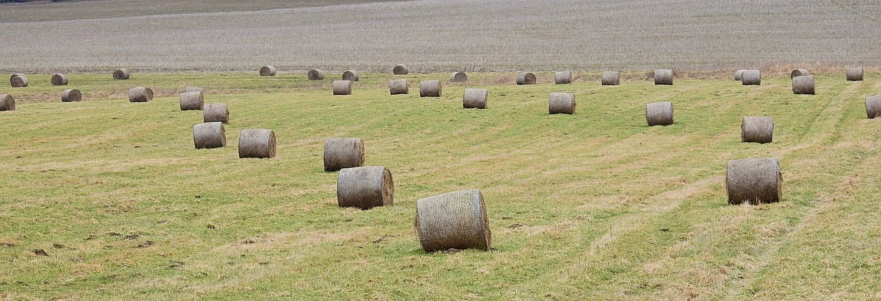 AMPLIADO EL PLAZO PARA RESOLVER LAS AYUDAS DE INCORPORACIÓN Y PLANES DE MEJORA
