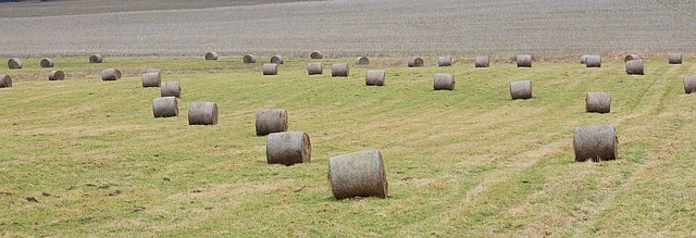 Modificaciones en la ayuda de inversiones en explotaciones agrícolas