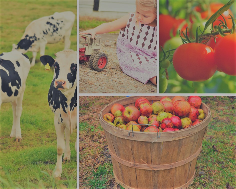 Plan Estratégico de Subvenciones de la Consejería de Desarrollo Rural 2020-2023