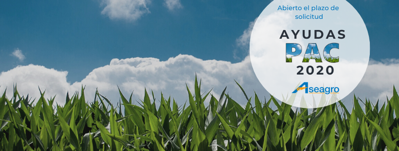 La Pac finaliza el 15 de Junio