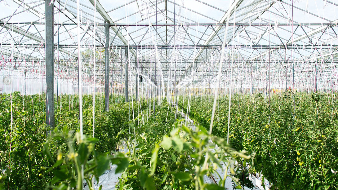 Convocatoria para el impulso de la economía circular 2023