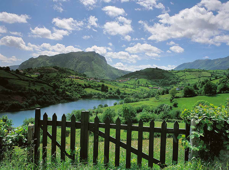 Se aprueba el Plan Técnico Anual de Aprovechamientos en Montes de Utilidad Pública